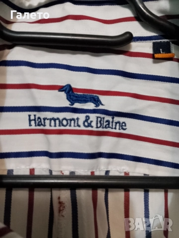 Ризи 2 бр 10 лв , снимка 8 - Ризи - 51917664