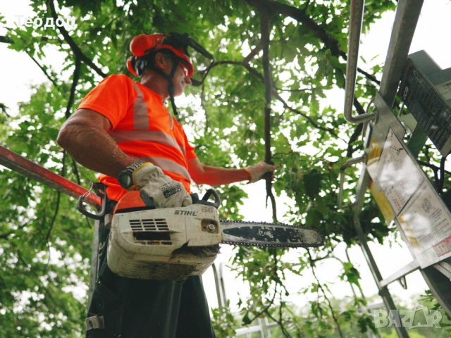 Почистване и мулчиране на труднодостъпни терени – Варна, снимка 11 - Други услуги - 53670052