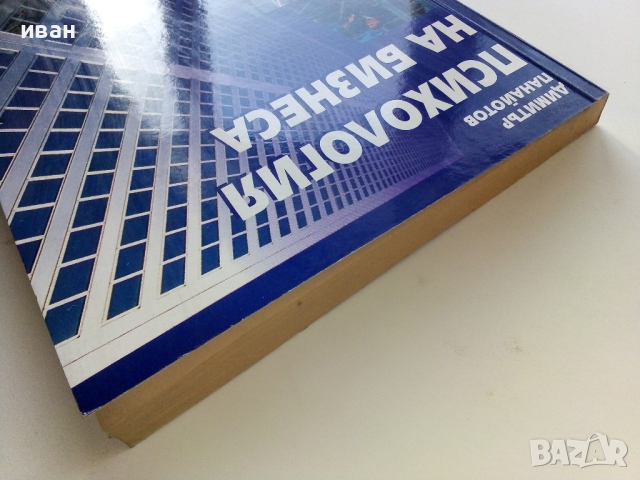 Психология на бизнеса - Димитър Панайотов - 2001г., снимка 10 - Учебници, учебни тетрадки - 44567229