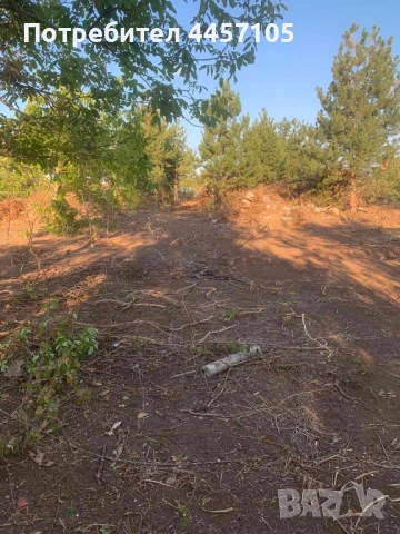 Парцел, снимка 4 - Парцели - 51076903