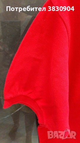 Поло шърт Lacoste, L, 100% памук, снимка 10 - Тениски - 42195621