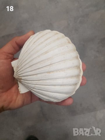 Декорация, снимка 4 - Декорация за дома - 40264724