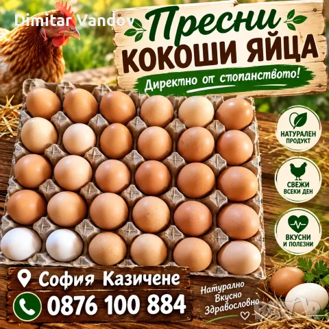 Пъдпъдъчи и кокоши яйца , снимка 3 - Кокошки и пуйки - 56244172