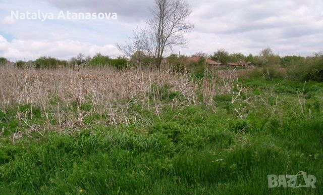 Къща във Ведрина, снимка 8 - Къщи - 53634563