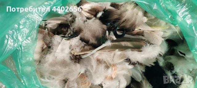 Пера от фазан и диви патици за Мухарски риболов , снимка 10 - Стръв и захранки - 49695686