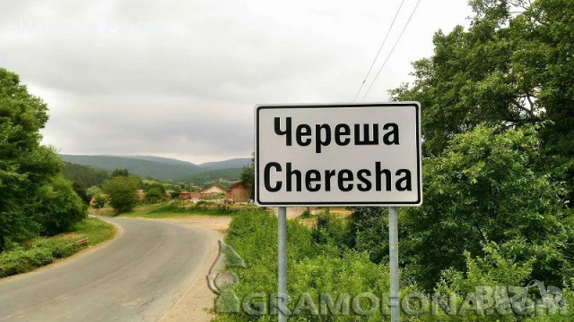  земеделска земя с. Череша