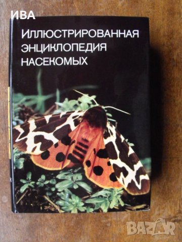 Иллюстрованная энциклопедия насекомых/на руски език/., снимка 6 - Енциклопедии, справочници - 39564849