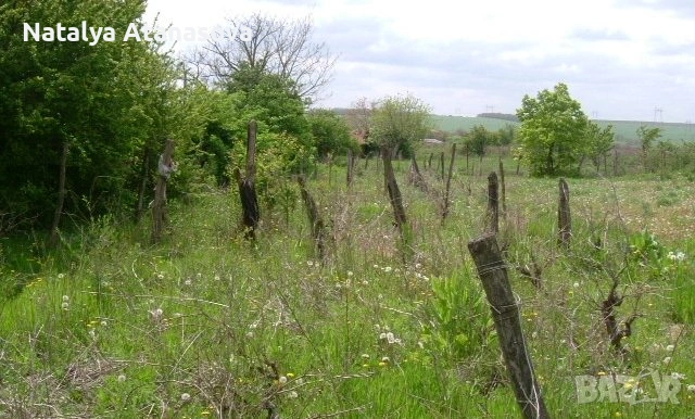 Къща във Ведрина, снимка 3 - Къщи - 53634563