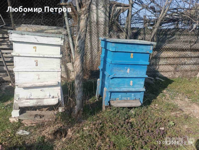 Пчелни кошери - 2 бр., снимка 2 - Други животни - 53864927