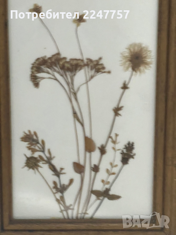 Дървена картина със сухи цветя, снимка 3 - Картини - 44798656