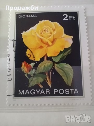 Красива  колекция Унгарски пощенски  марки  с  цветя, снимка 2 - Филателия - 41802307
