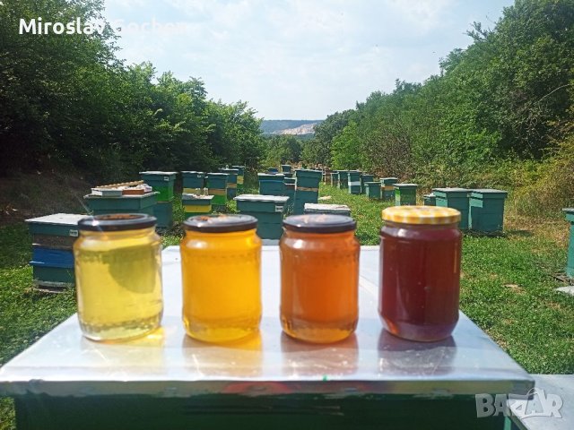 Пчелен мед  от Сакар планина , снимка 1