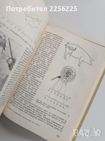 Контрол на продуктивните качества на селскостопанските животни, снимка 3 - Специализирана литература - 53727356