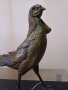 Бронзов фазан, снимка 4