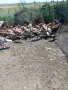 Продавам кученца Бордър Коли на 40 дни 100 ев пуйки 30 евро женско конче на 6 м. Хафлингер 1000евро, снимка 4