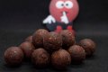 Протеинови топчета Dudi Baits Mister Dudi 1кг., снимка 2