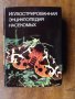Иллюстрованная энциклопедия насекомых/на руски език/., снимка 6
