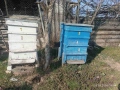 Пчелни кошери - 2 бр., снимка 2