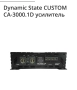 Усилвател Моноблок 3к Dynamic State Custom CA 3000.1 class D, снимка 14