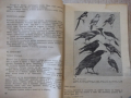 Книга "Учебник за кандидат ловеца - Никола Ботев" - 232 стр., снимка 5