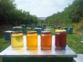Пчелен мед  от Сакар планина , снимка 1 - Пчелни продукти - 38751171