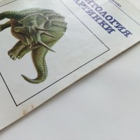 Палеонтология в картинки - И.Яковлева - 1984г. , снимка 13 - Детски книжки - 38938213