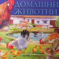 Домашните животни, снимка 1 - Детски книжки - 34725700