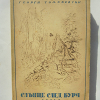 Книга Слънце след буря - Георги Томалевски 1946 г., снимка 1 - Българска литература - 36202790