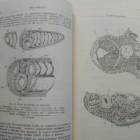 Ембриология на домашните животни - М.Москов - 1957г,, снимка 3 - Специализирана литература - 39531348