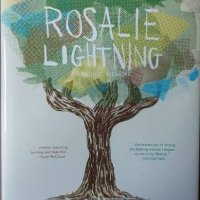 Rosalie Lightning: A Graphic Memoir (Tom Hart), снимка 1 - Други - 40065686