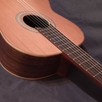 Juan Salvador класическа китара, снимка 1 - Китари - 39408322