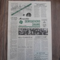 Вестници По 15лв година първа брой първи 1989 година, снимка 9 - Колекции - 39621073