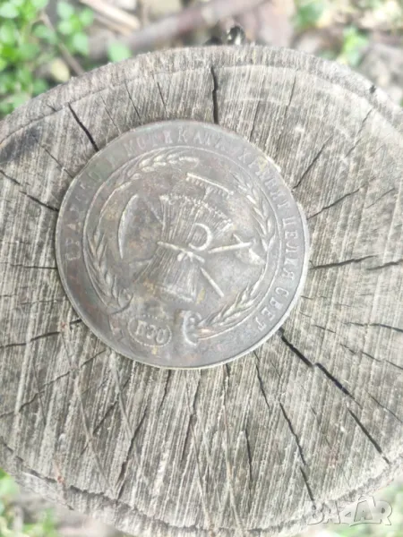 Жетон Ралото и Мотиката хранят света , снимка 1