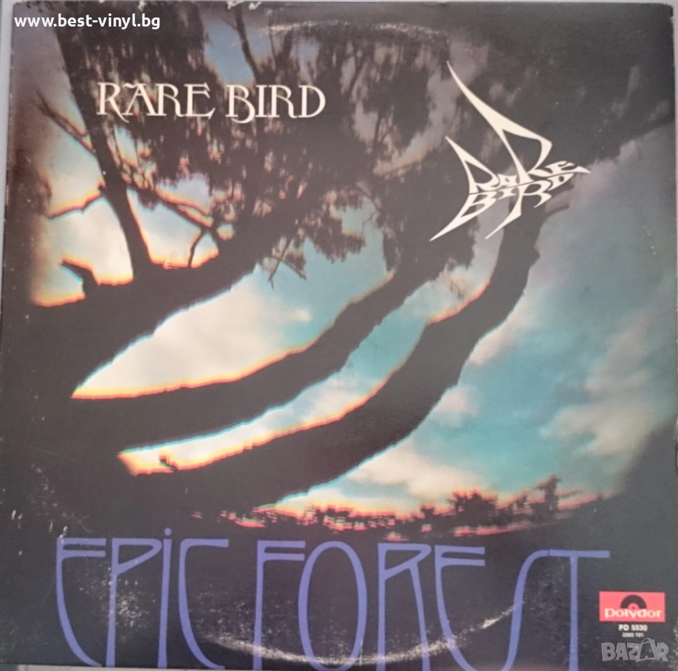 Грамофонна Плоча (Rare Bird - Epic Forest), снимка 1