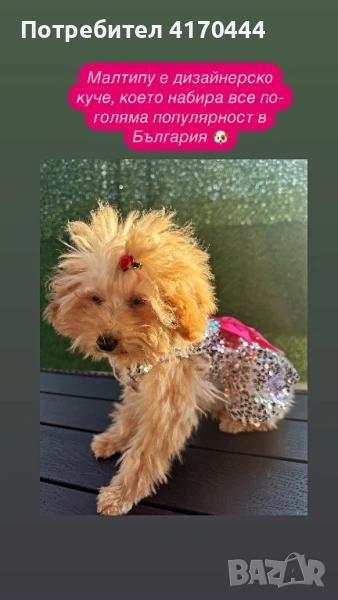 Малтипу, снимка 1