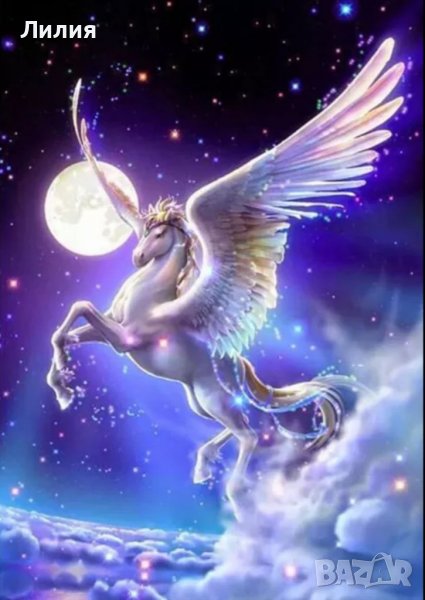 5Д Диамантен гоблен, снимка 1