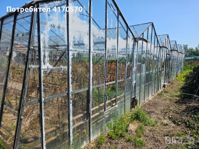 Продава се стъклена оранжерия, снимка 7 - Оранжерии - 51654998