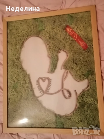 Картини с мъх и цветя , снимка 2 - Картини - 52079612