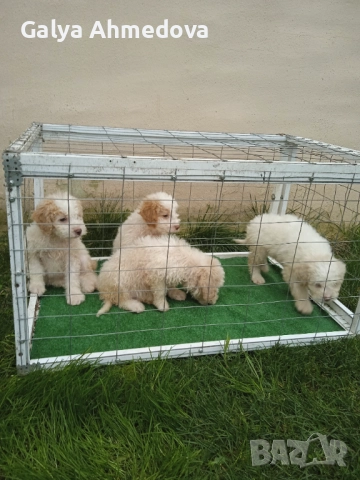 Лагото романьоло , снимка 9 - Други - 52513113