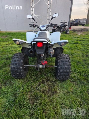 ATV Luxxon 300, снимка 6 - Мотоциклети и мототехника - 53687461