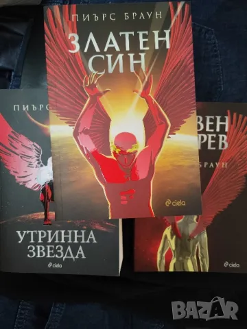 книги за всеки вкус , снимка 10 - Художествена литература - 47821616