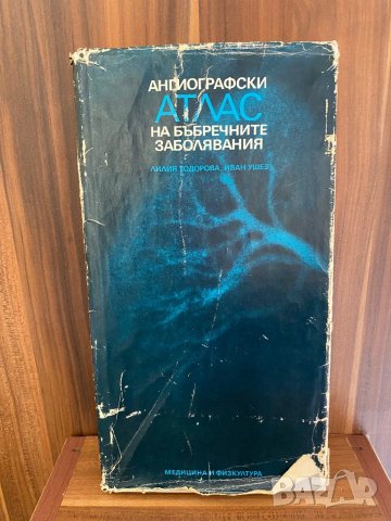 Ангиографски атлас на бъбречните заболявания