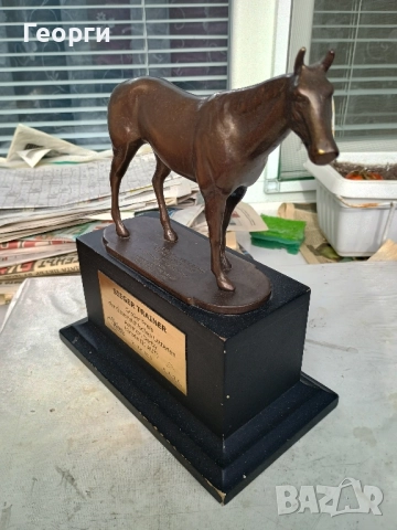 Бронзова награда за конни надбягвания, снимка 9 - Колекции - 52350508