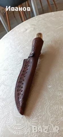 шия кании.    .