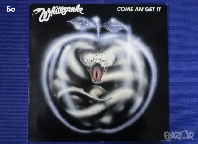грамофонни плочи WhiteSnake , снимка 2 - Грамофонни плочи - 52474021