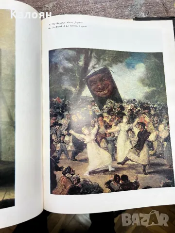 Стар албум на Гоя , снимка 6 - Специализирана литература - 48075673