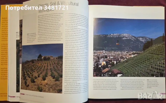The New Italy. A Complete Guide to Contemporary Italian Wine, снимка 5 - Кулинария - 55817326