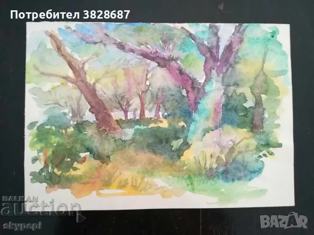 Картина АКВАРЕЛ