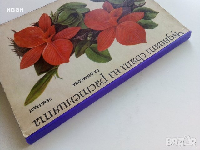 Чудният свят на растенията - Г.А.Денисова - 1975г. , снимка 7 - Други - 42235606