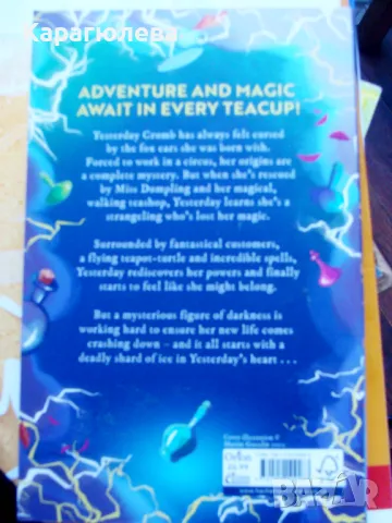 Детска книга на английски Yesterday Crumb and the Storm in a Teacup, снимка 2 - Детски книжки - 48894609